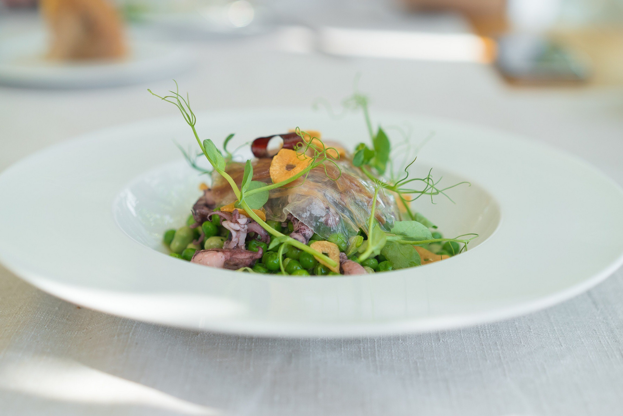 Lulinhas Salteadas com Ervilhas Favas e Papada de Porco Ibérico.jpg