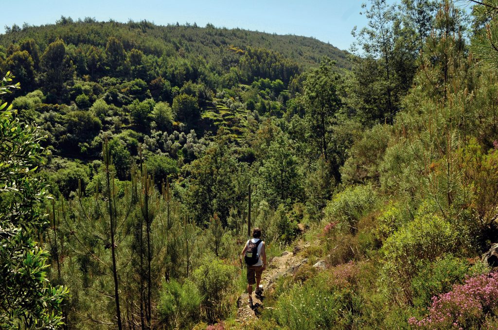 13 caminhos para descobrir a região do Zêzere