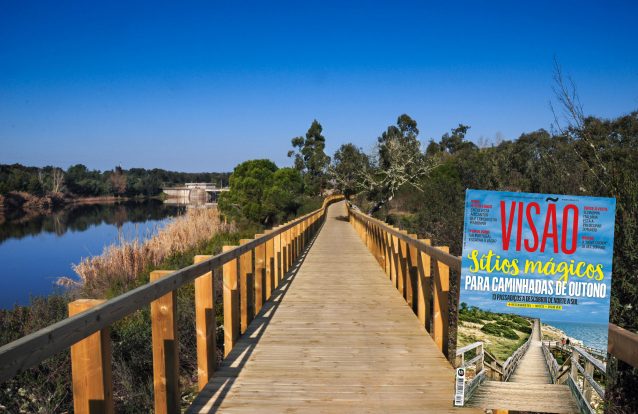 13 passadiços para descobrir Portugal no outono