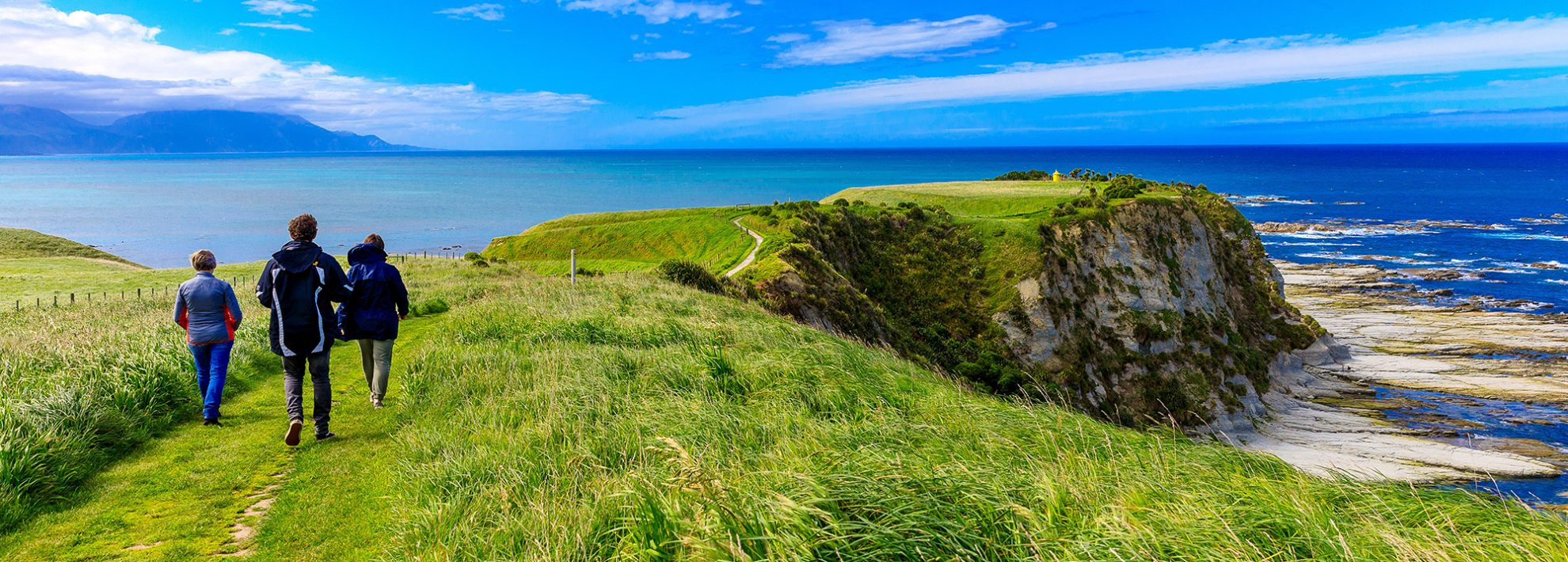 Kaikoura-Peninsula.web_-1980x710.jpg