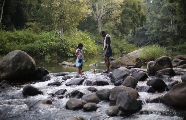 A exposição "UNESCO Green Citizens" desafia-nos a ser pioneiros da mudança