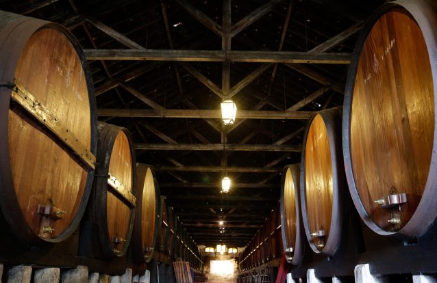 4 festivais de gastronomia, a não perder, já este fim de semana