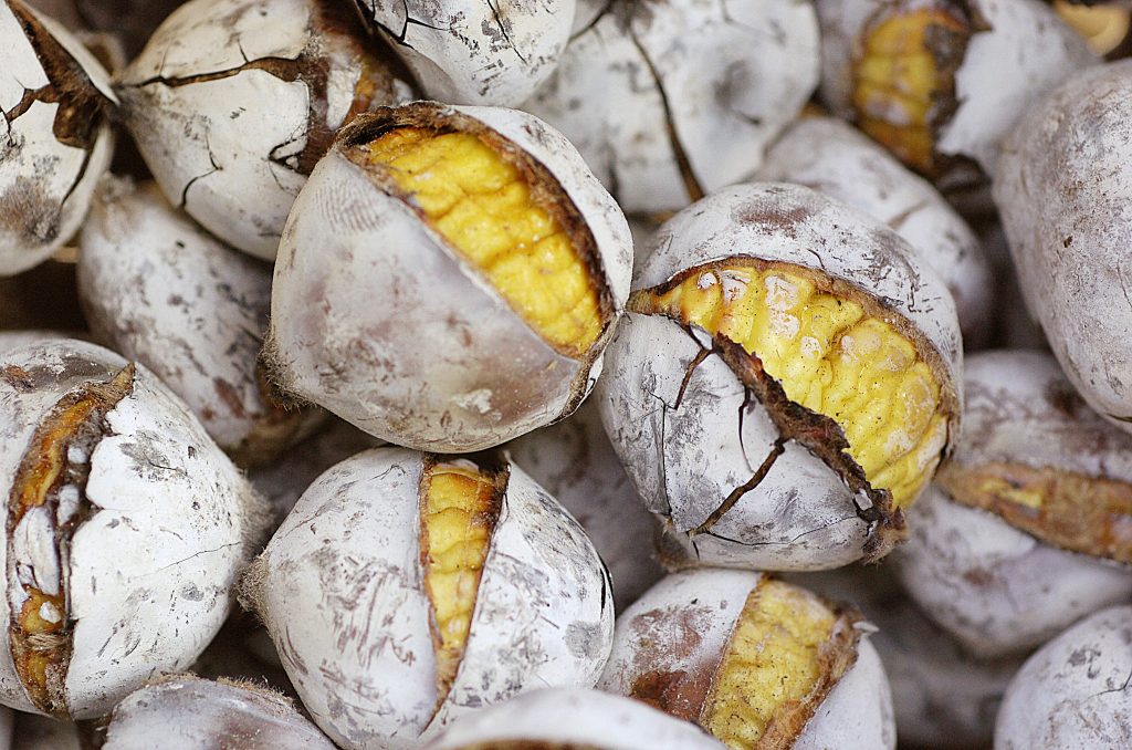 5 programas com castanhas para comemorar o São Martinho