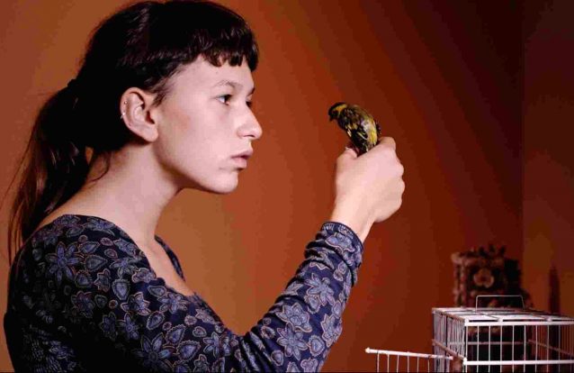 7 filmes a não perder até ao fim do ano