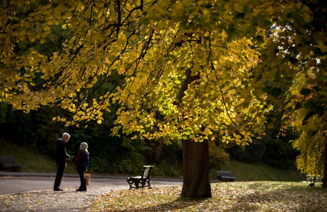 9 frases que as pessoas com QI emocional alto nunca dizem
