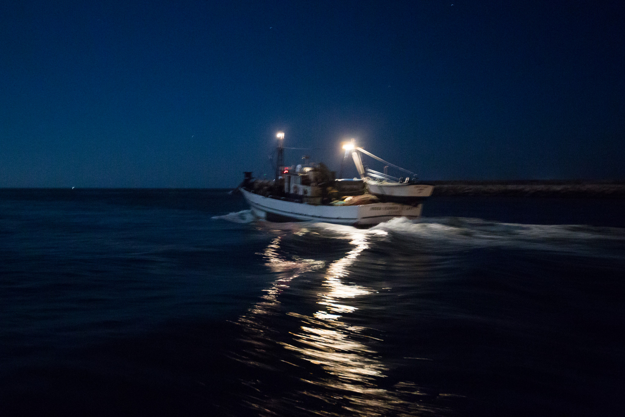 A pesca da sardinha 3