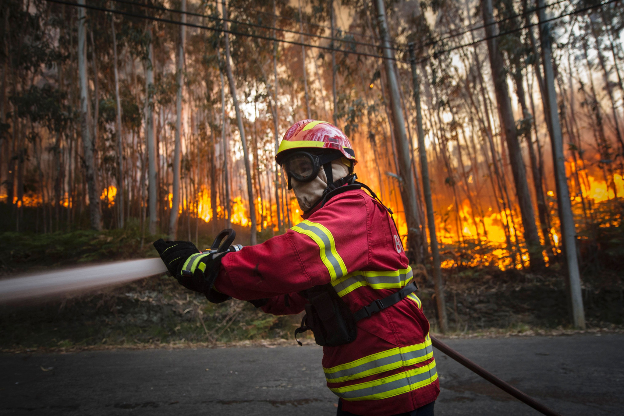 As imagens dos incêndios na Madeira 3