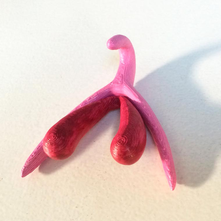 3D-printed-clitoris-5.jpg