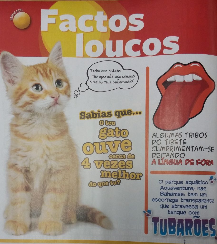 Ficha de atividade de Português, 1.º ciclo