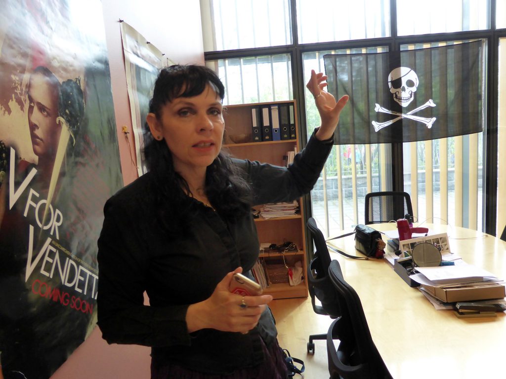 A Islândia vai ser governada por piratas?
