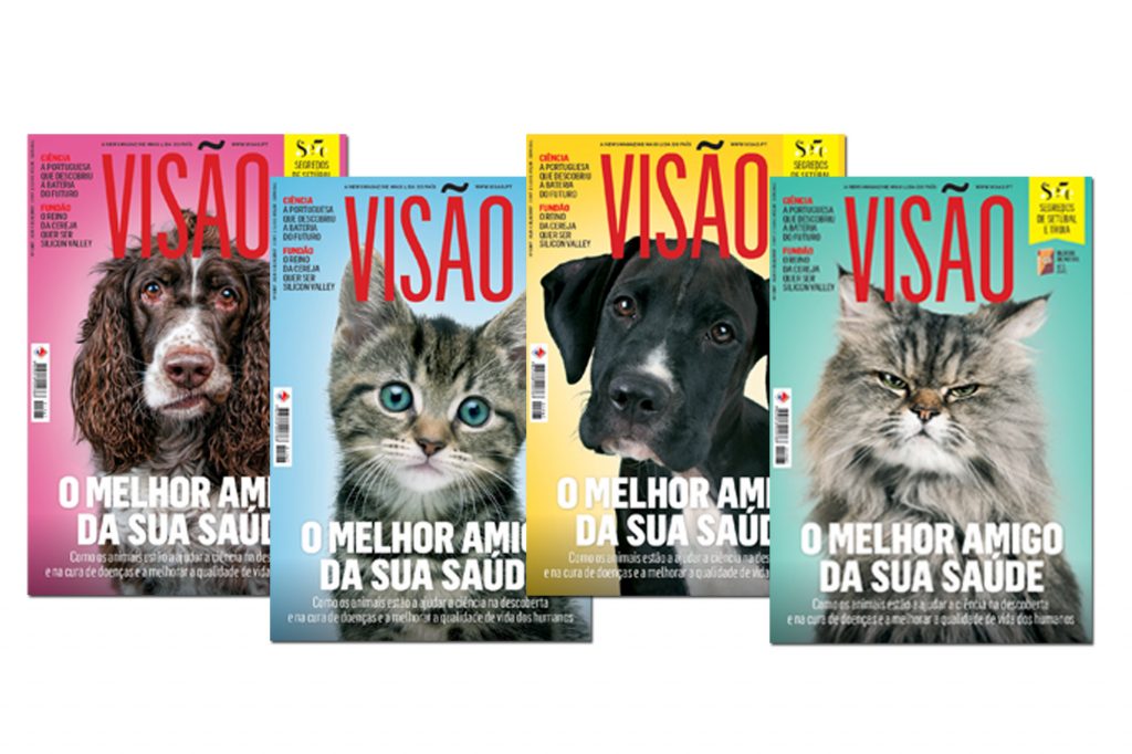 A VISÃO esta semana tem quatro capas: escolha a sua favorita