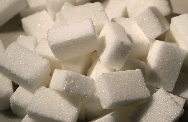 Açúcar ou adoçantes: Qual é, afinal, o mal menor?