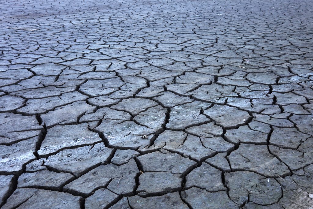 Adaptação da viticultura às alterações climáticas