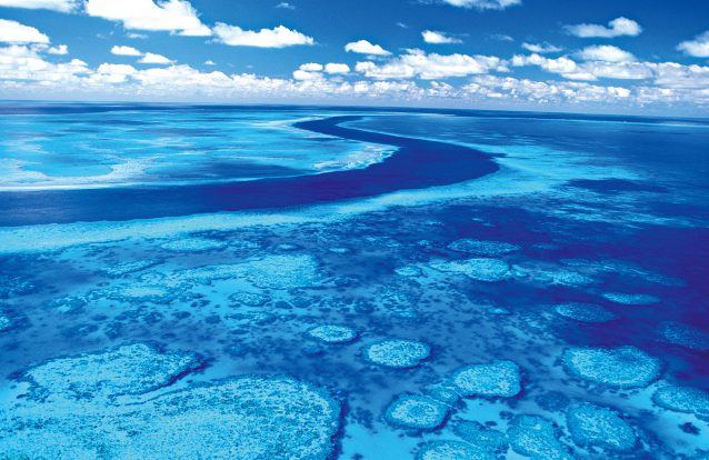 Afinal, há esperança para a Grande Barreira de Coral