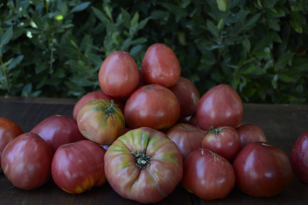 Agosto é mês do tomate coração de boi nos restaurantes do Douro