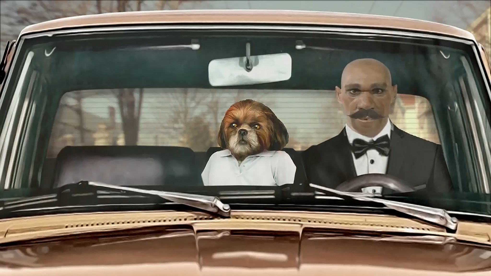 Visão | 'Aleixo Psi': No divã com Bruno Aleixo