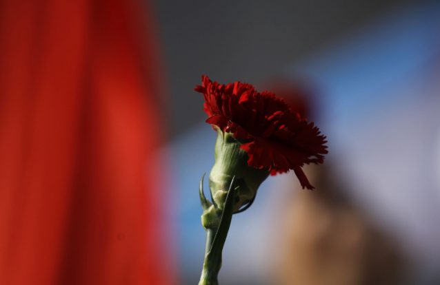 Alice, Alfredo e Adelino