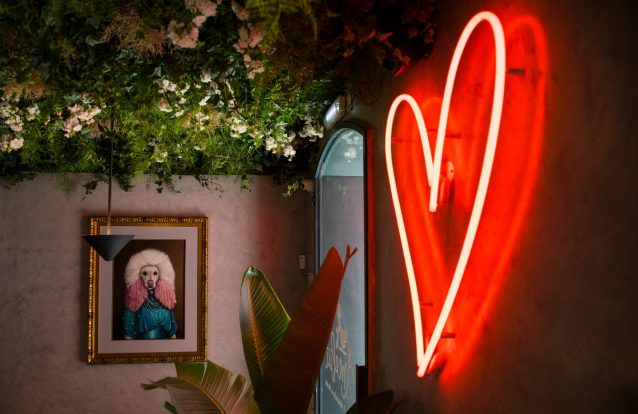 Amélia Lisboa: A cafetaria do momento onde apetece estar