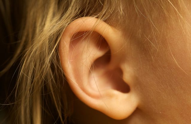 Apresentado em Lisboa um aparelho que recupera a audição sem cirurgia