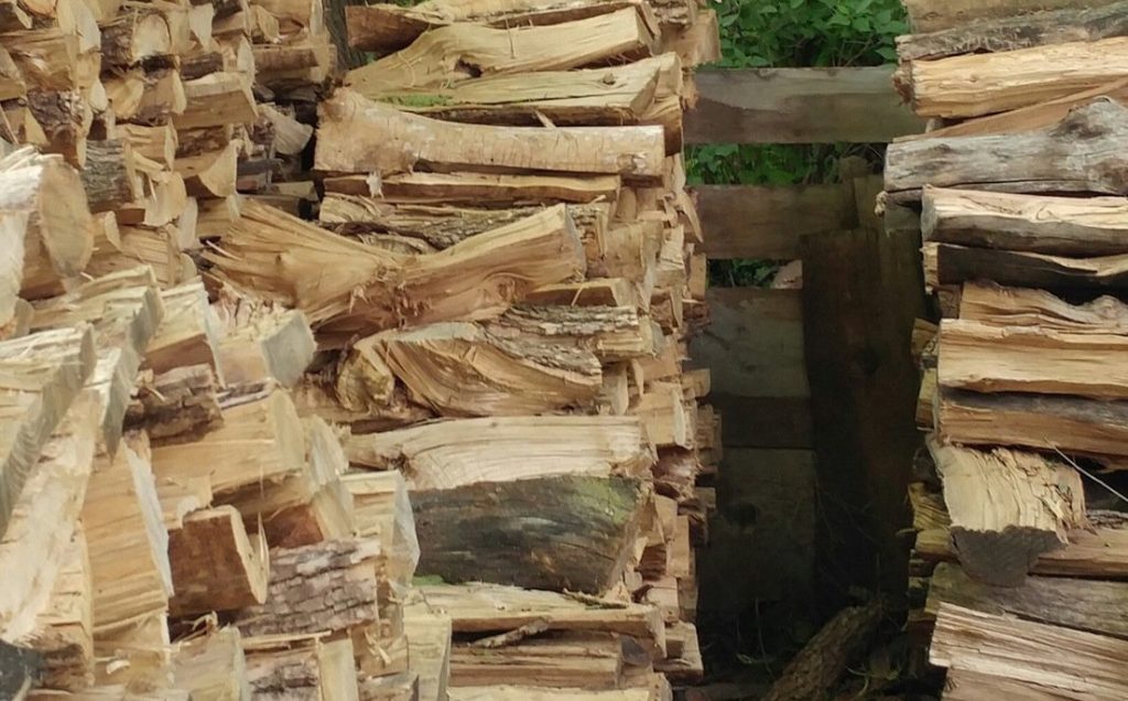 Aqui há gato. Mas onde?