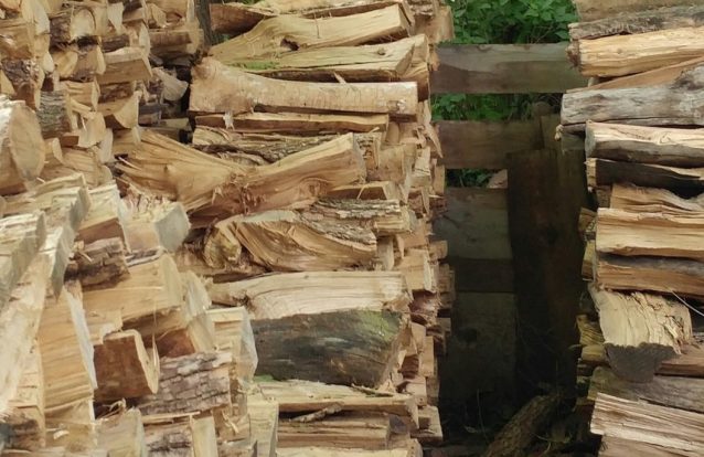 Aqui há gato. Mas onde?