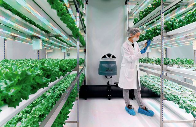 As alfaces sustentáveis do futuro