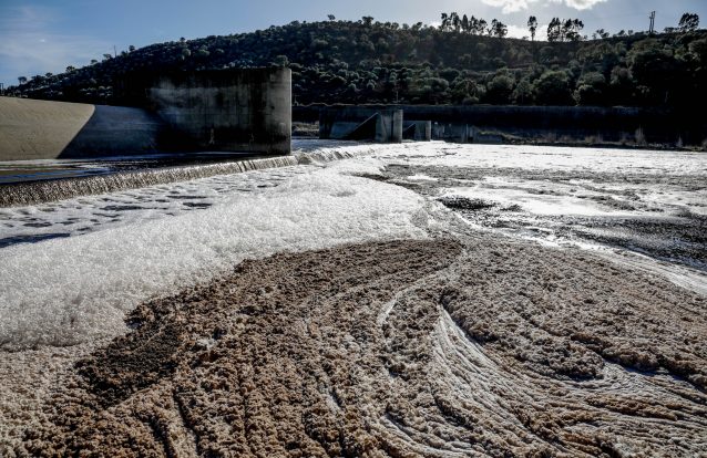 As soluções que podem resolver o impasse da Celtejo