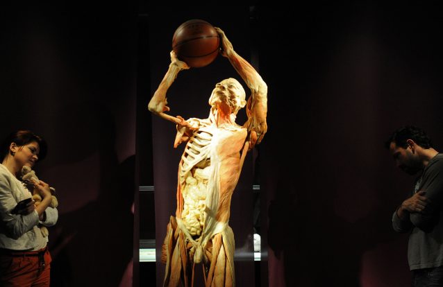 Autarca de Praga quer enterrar os corpos da exposição Human Body