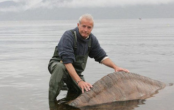 Google ajuda-o a encontrar o Monstro do Lago Ness - TVI Notícias