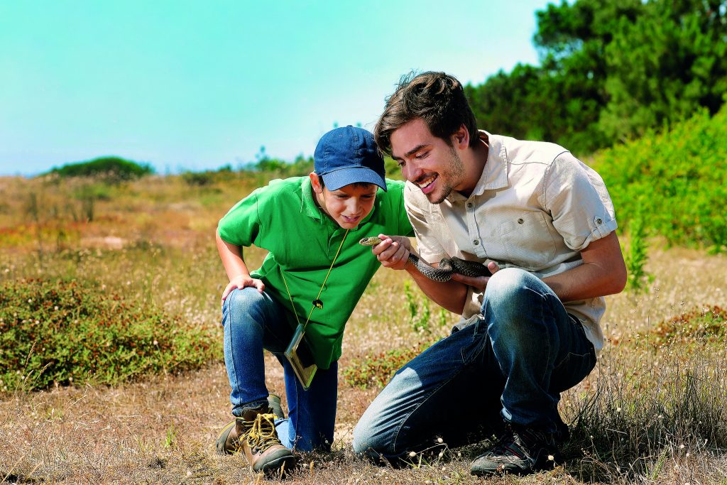 Aventura no campo