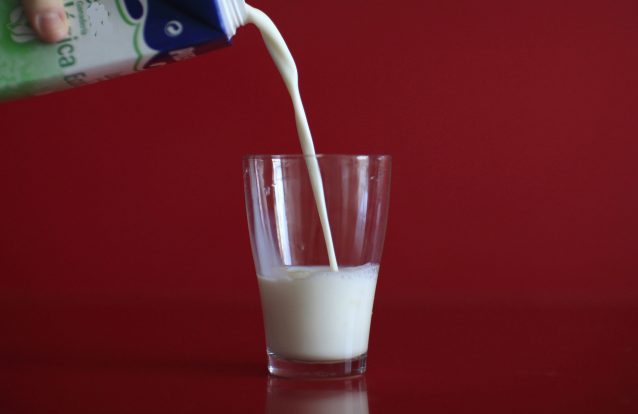 Beber leite gordo afinal não é assim tão mau