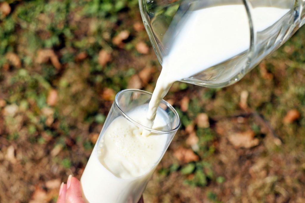 Beber leite gordo é bom para o coração?