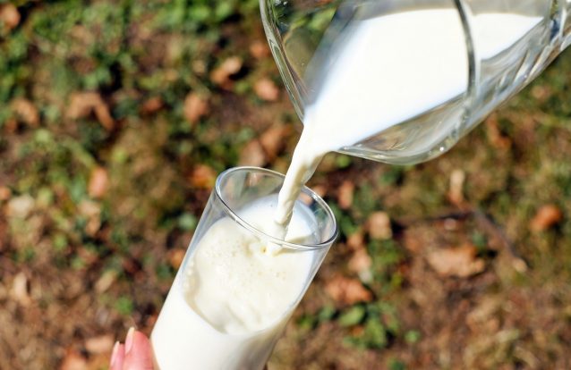 Beber leite gordo é bom para o coração?