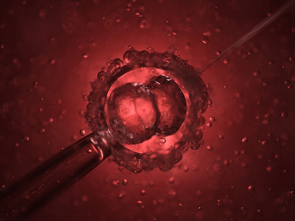 Bebés que nunca poderão ser infetadas com o vírus da sida? Cientista chinês alega ter criado primeiros bebés geneticamente manipulados