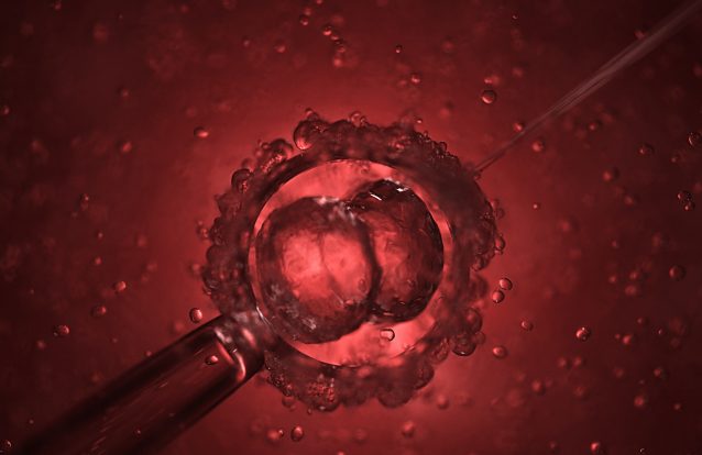 Bebés que nunca poderão ser infetadas com o vírus da sida? Cientista chinês alega ter criado primeiros bebés geneticamente manipulados