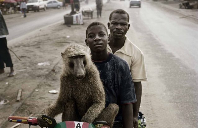 "Between the Devil and the Deep Blue Sea  – Entre a Espada e a Palavra": A câmara negra do homem branco