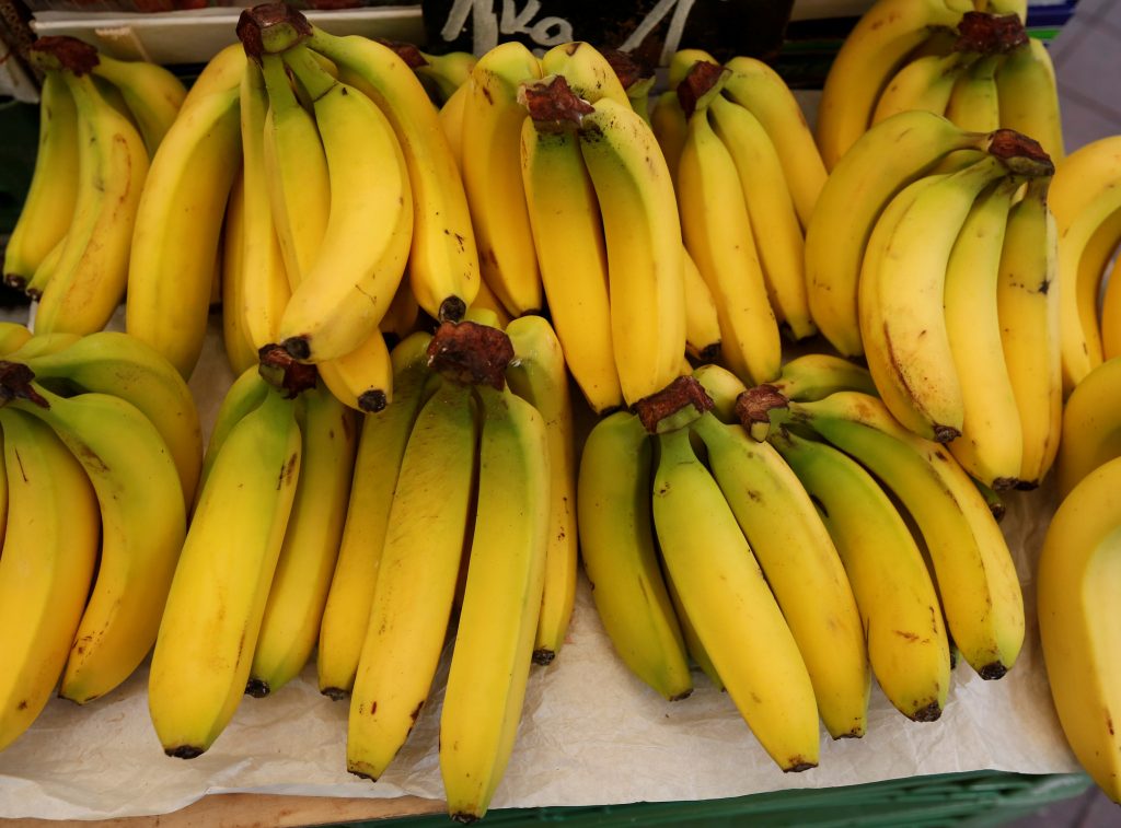 Visão | Black sigatoka, o fungo que ameaça acabar com as bananas. Mas ...