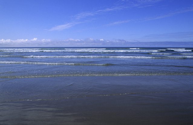 Cabeça de mulher encontrada em praia de Matosinhos dentro de saco de plástico