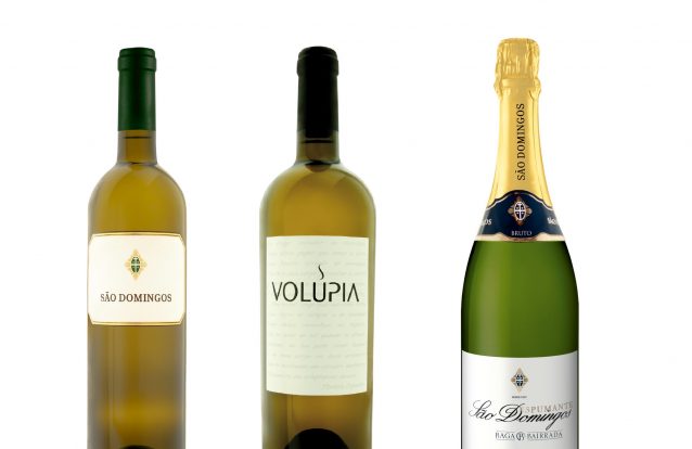 Caves do Solar de São Domingos: 80 anos de vinhos