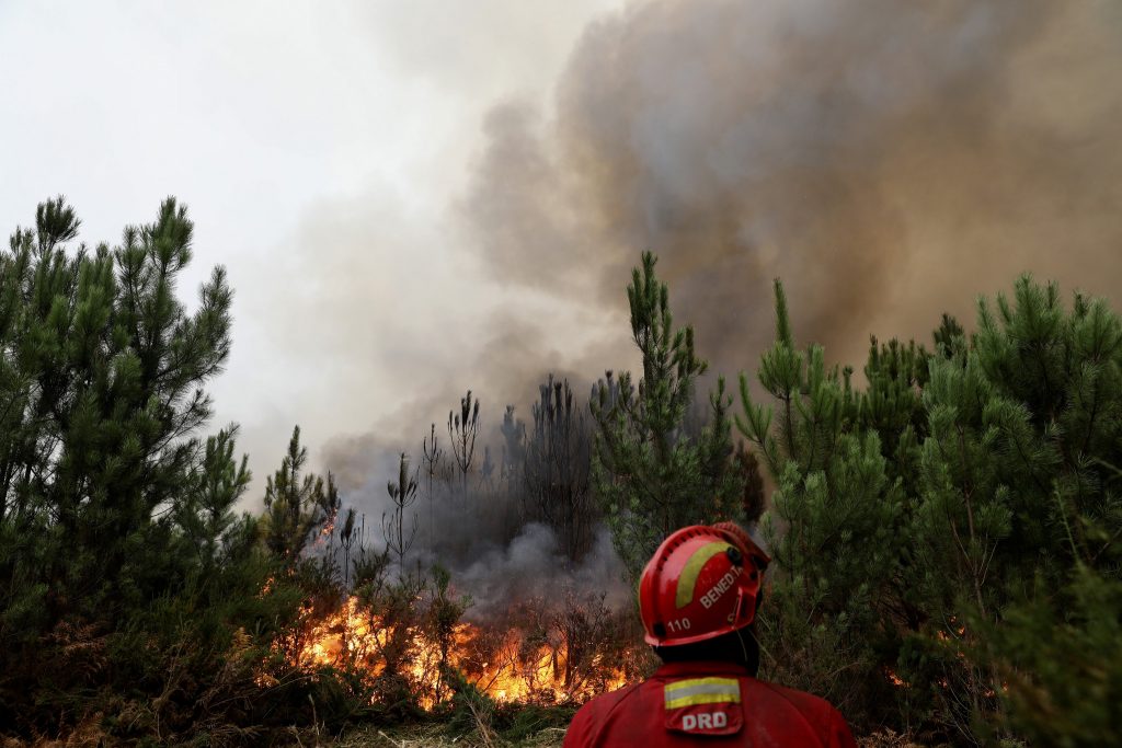 Chamas queimaram este ano mais de 316 mil hectares em Portugal