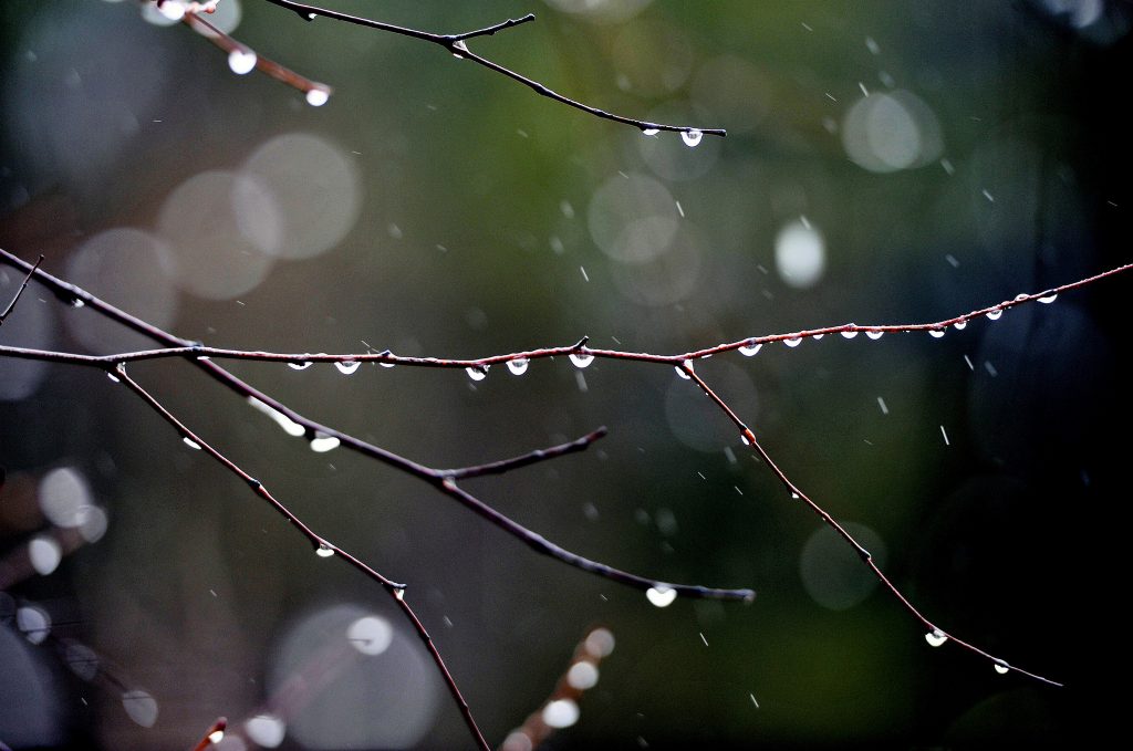 Chuva veio para ficar pelo menos até quinta-feira