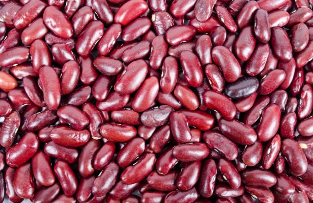 Cientistas portugueses descobrem forma de travar metástases cerebrais