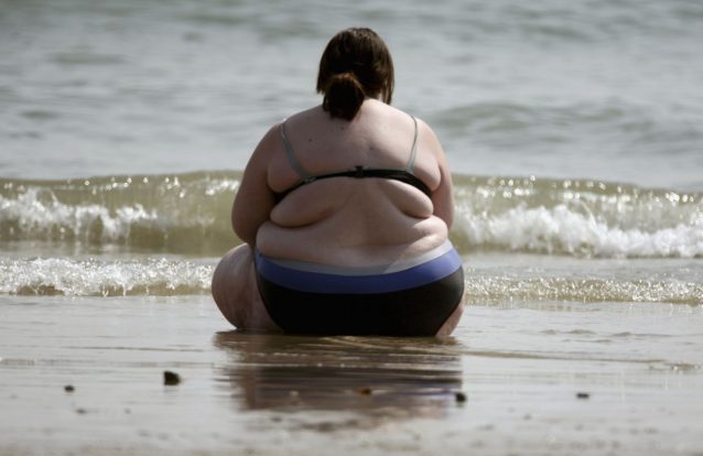 Cientistas portugueses ligam e desligam neurónios da obesidade