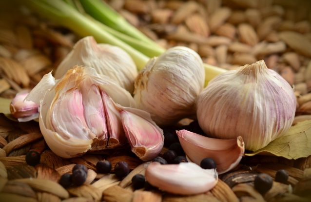 Comer alho provoca mau hálito, mas previne uma série de doenças