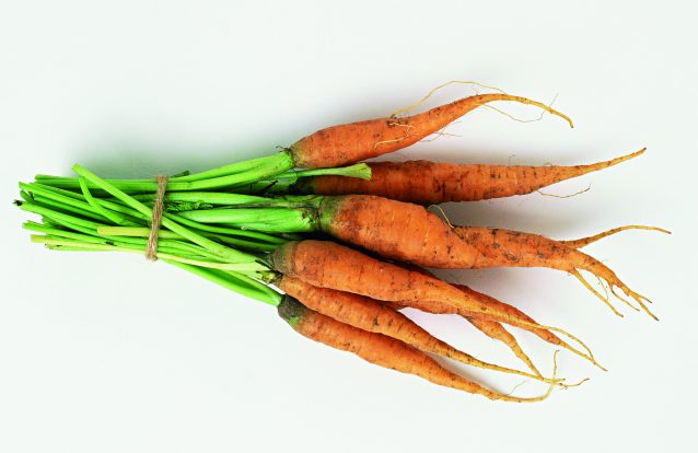 Como foi feito o estudo aos produtos biológicos