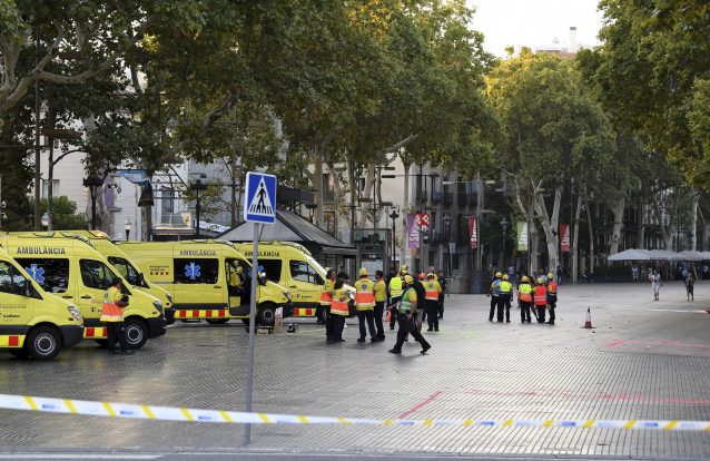 Condutor da carrinha pode, afinal, continuar a monte