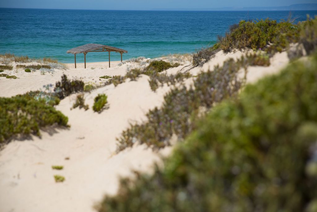 Consórcio Amorim/Vanguard vai ficar com a Herdade da Comporta