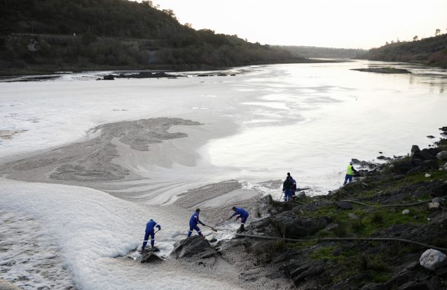 'Crowdfunding' para defesa do 'guardião do Tejo' está longe do objetivo