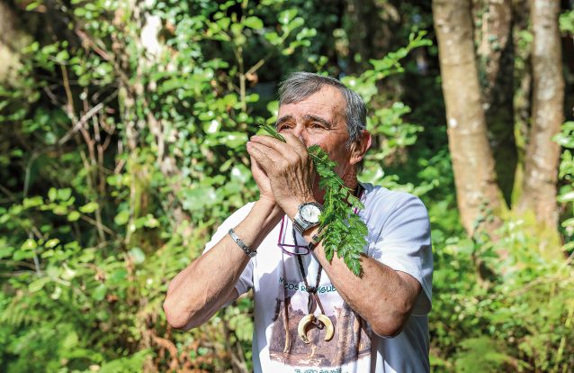 Da Serra Morena à selva humana: a longa viagem do homem-lobo
