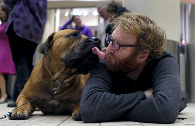 Deixas o teu cão dar beijos? Lê isto e pensa duas (ou mais) vezes